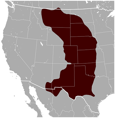 Range Map for Black-tailed Prairie Dog