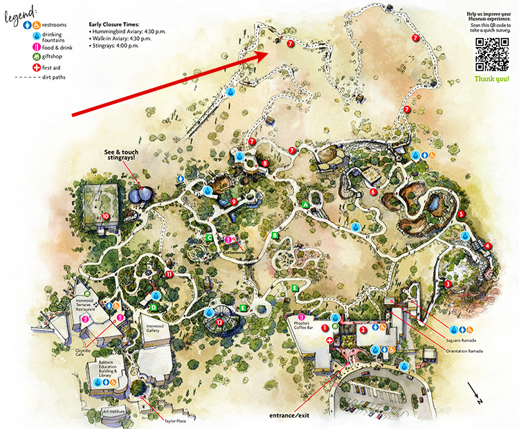 Museum map showing location of Javelina