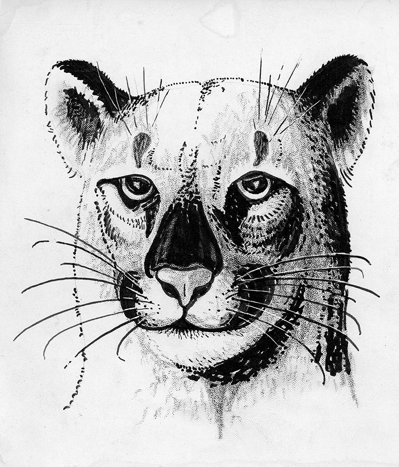 George L Mountainlion cartoons jerry cannon circa 1959