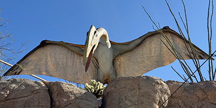 Photo of a Pterosaur replica