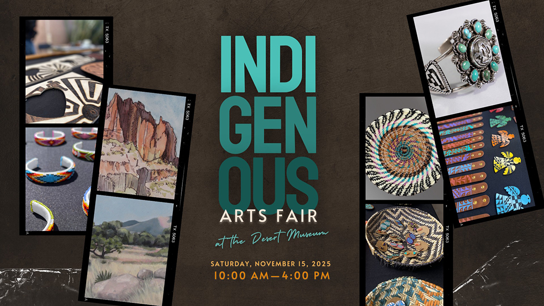 Indigenous Arts Fair