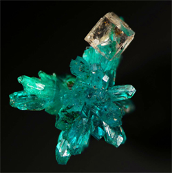 Mineral