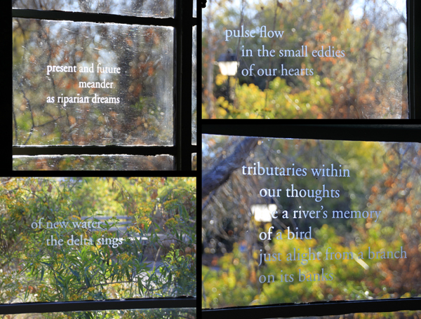 present and future meander as riparian dreams : pulse flow in the small eddies of our hearts : of new water the delta sings : tributaries within our thoughts are the river's memory of a bird just alight from a branch on its bank