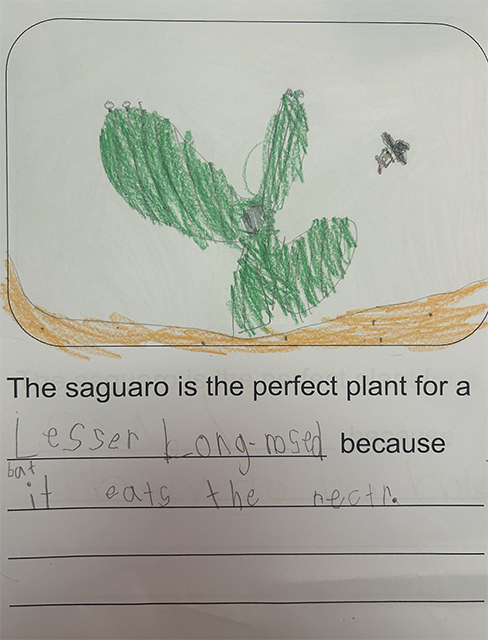 Perfect Plant worksheet