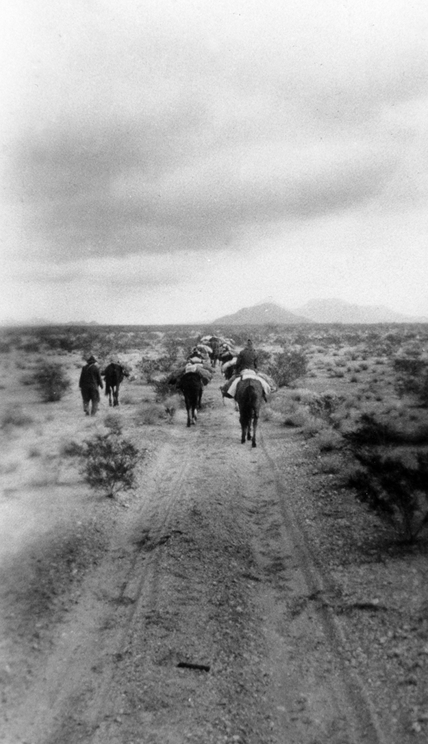 Sand dune field at Pinacate Biosphere Reserve